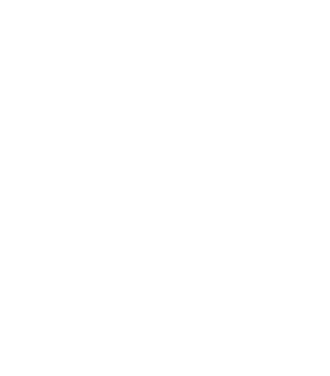 design icon