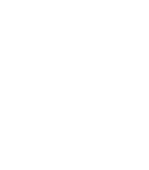 development icon