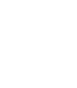 professional services icon